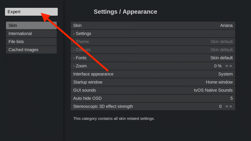 File:Settings level ariana.png